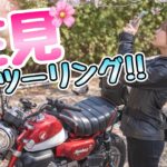 【バイク女子】ギリギリセーフ！桜散る前にお花見ツーリング！！【モンキー125】