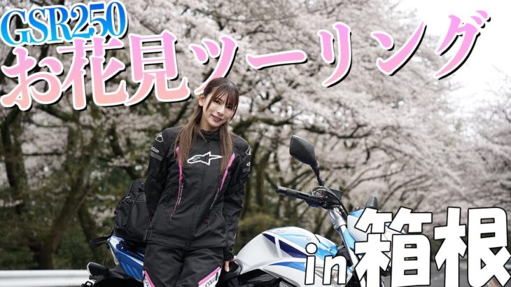 【モトブログ】春なので箱根までお花見ツーリングに来たのにまさかの天気…GSR250