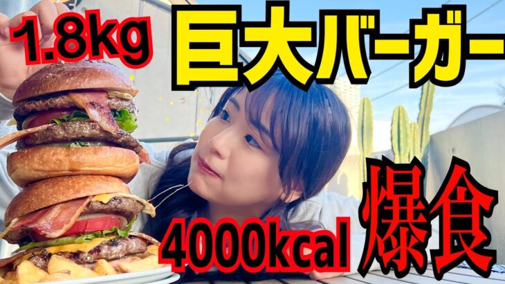 横須賀ツーリングしてたら巨大ハンバーガー大食いすることになって怯えてます