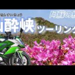 【Ninja1000】阿蘇の絶景仙酔峡へ【モトブログ】#阿蘇ツーリング #バイクツーリング #九州ツーリング