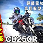 【超軽量】CB250Rは意外な振動特性で最優秀単気筒バイクだ！【HONDA(ホンダ)】