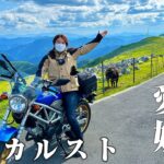 【縦断】250ccで行く絶景ツーリング/四国の南から北までを満喫【酷道】