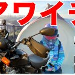 【アワイチ】淡路島一周マスツーリング［125ccと1250ccシーサイドを走る］