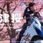春を求めて伊豆へツーリングに行ってきた｜アラサー女子の休日バイク Vlog【SUZUKI gsx1300r】