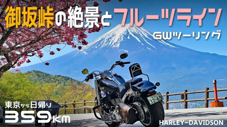 【GWの山梨】フルーツラインと御坂峠をハーレーでツーリング/バイク