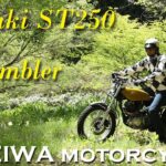 【スズキST250のスクランブラーカスタム】HEIWA MOTORCYCLE / SUZUKI ST250 2005（木村健吾）