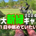 バイク キャンプ 2024年5月 クロスカブ110 新緑の瑞牆山自然公園キャンプ場　Solo Camping